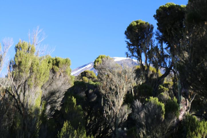 Mount Kilimanjaro Milennium Camp