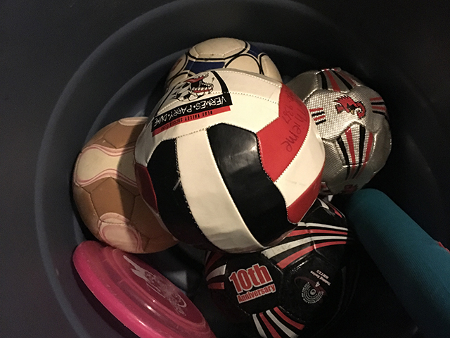 bin full of balls #Purge365